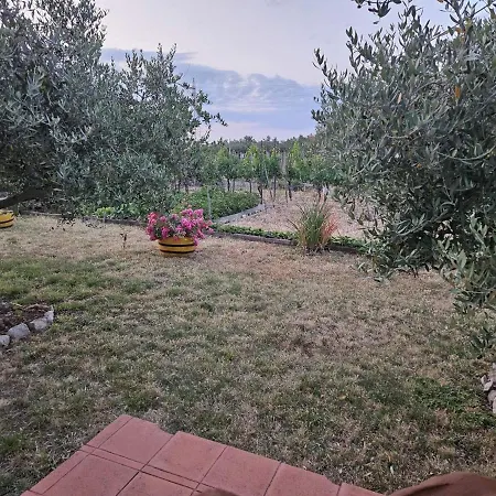 In With Terrace, Air Conditioning, Wi-fi Apartment *