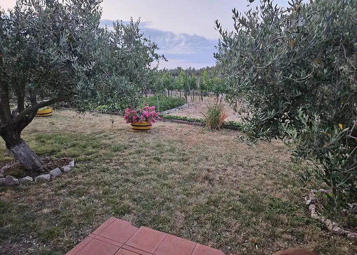 In With Terrace, Air Conditioning, Wi-fi Lägenhet *